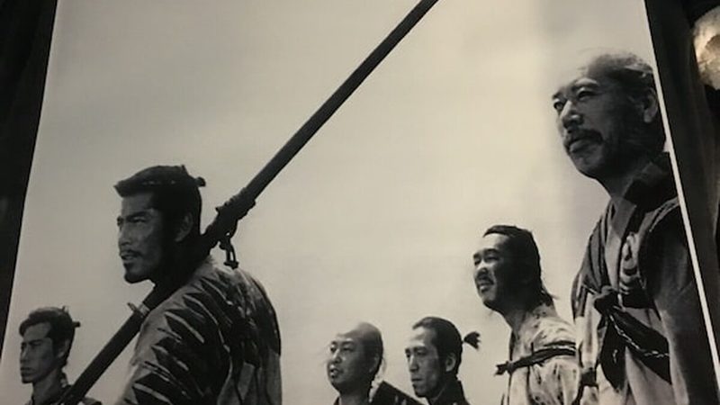 北京别墅草坪养护一年费用：影响因素与合理预算**