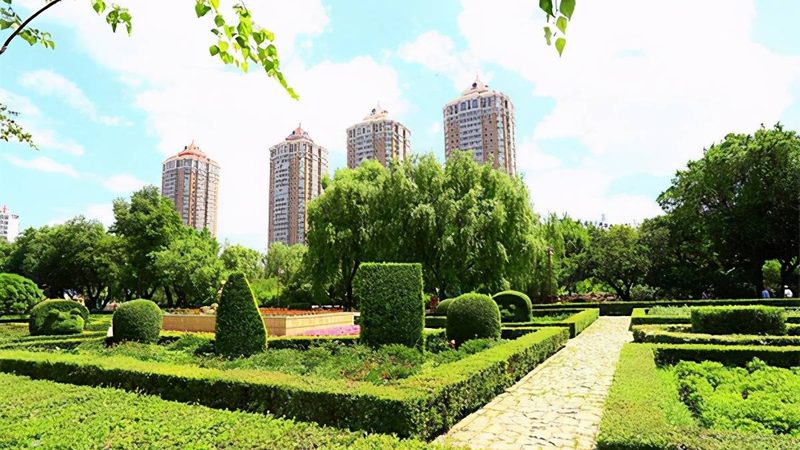 道路绿化苗木批发，如何选择优质供应商？**