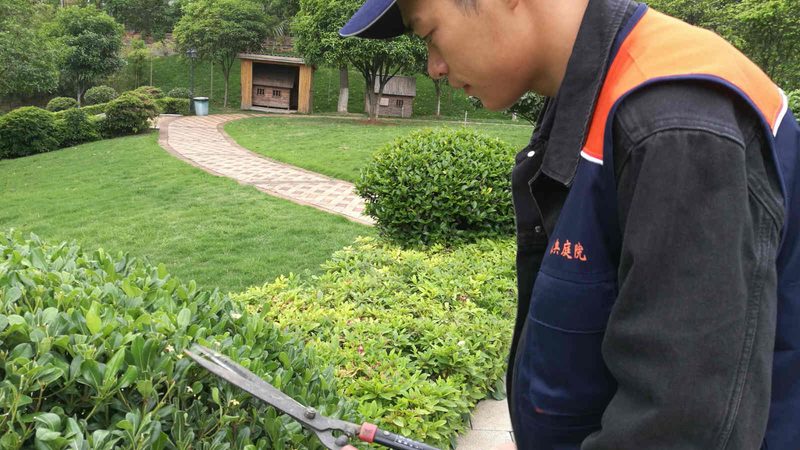 阳台垂直绿化设计要点