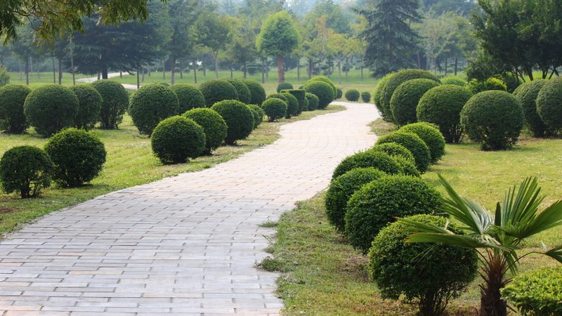 屋顶草坪种植步骤与技巧：打造绿色屋顶的秘诀