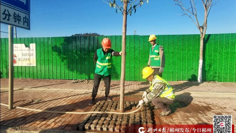 小别墅花园设计：如何打造私人绿洲？**