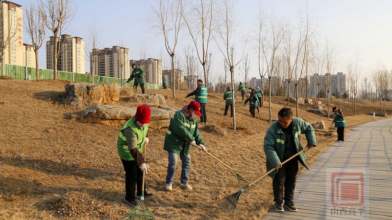 市政绿化工程资质等级分类：标准解读与实际应用
