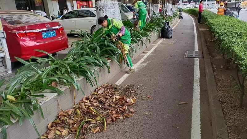 重庆边坡绿化草种价格：如何选择合适的产品？**
