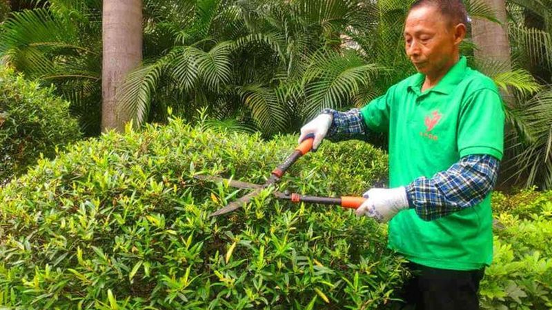 小区绿化预算编制，这五个步骤不容忽视