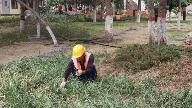 庭院假山流水景观设计：打造自然与和谐共生的空间