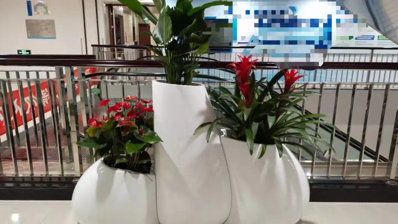 私人庭院草坪铺设养护，如何做到一步到位？**