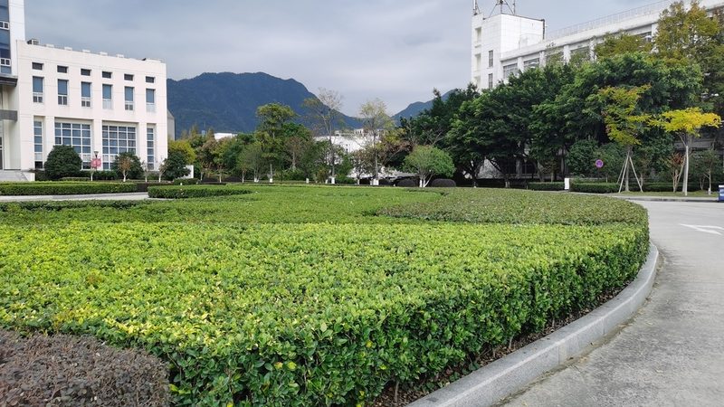 道路绿化景观设计流程解析