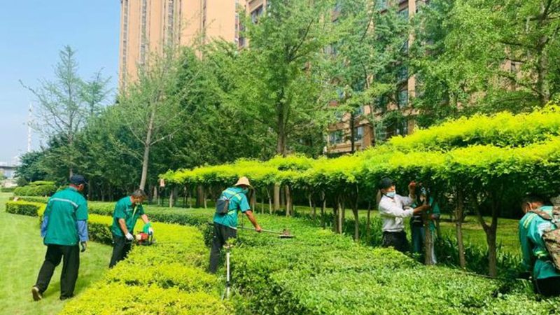 小区绿化工程报价并非一成不变，其受到多种因素的影响。以下列举几个关键因素：