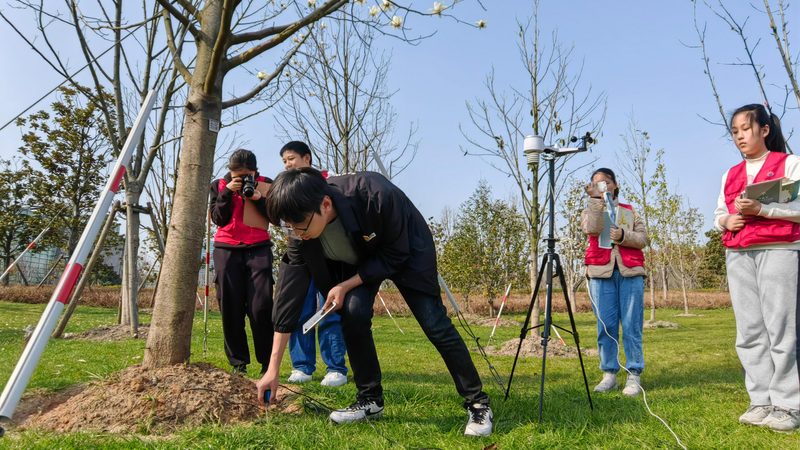 室内垂直绿化植物尺寸规格全解析**